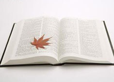 赫塔菲队豪取连胜，锁定最终胜利