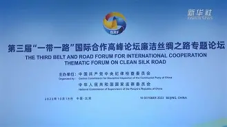 第五届一带一路华人华商足球邀请赛雅加达圆满举行
